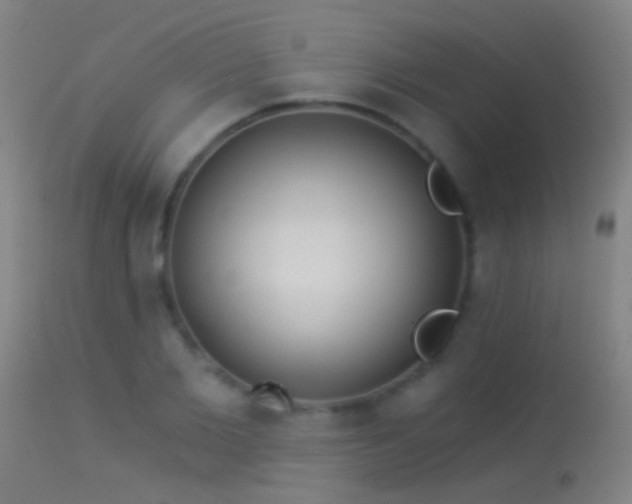 X0000114130885200910151542