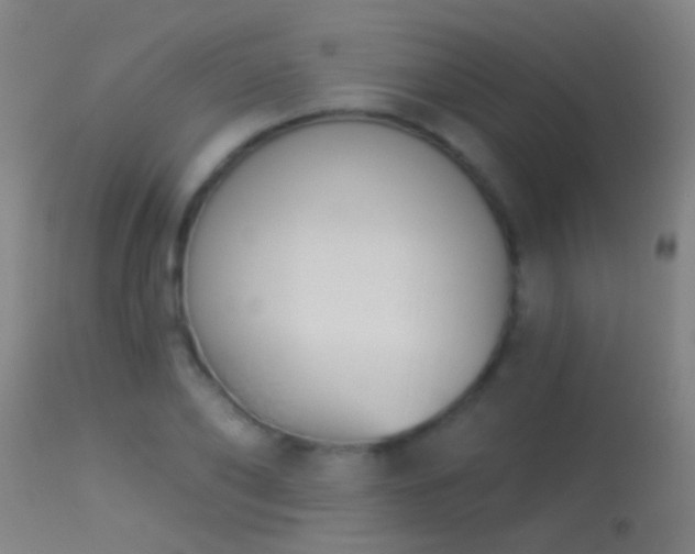 X0000114130886200910151542