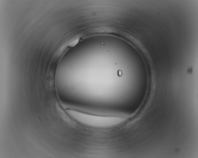 X0000114130889200910151542