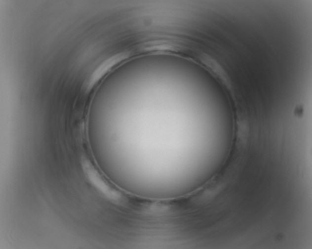 X0000114130890200910151542