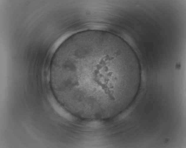 X0000114130891200910151542