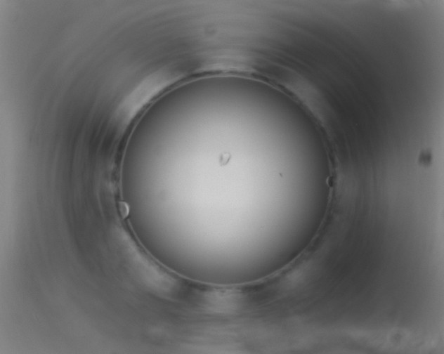 X0000114130893200910151542