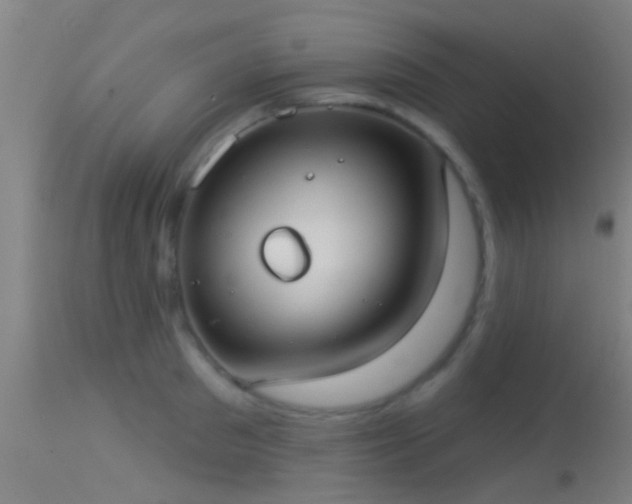 X0000114130897200910151542