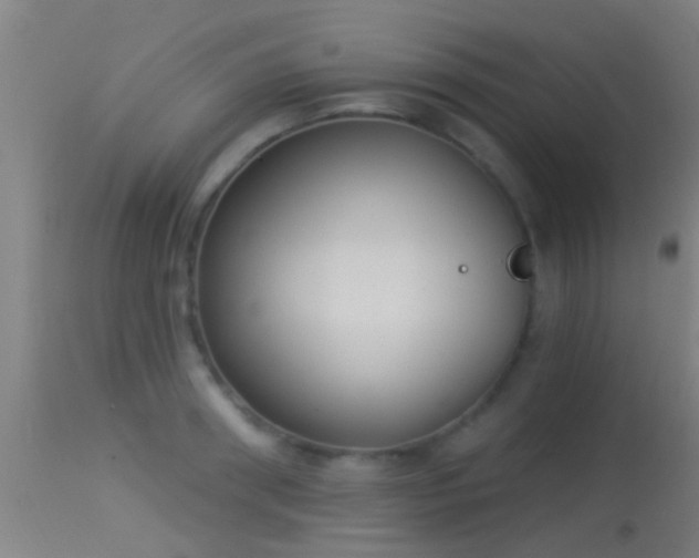 X0000114130898200910151542