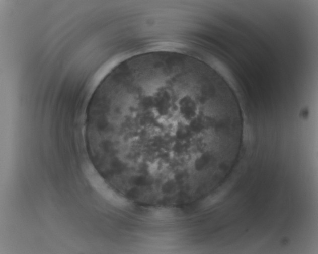 X0000114130899200910151542