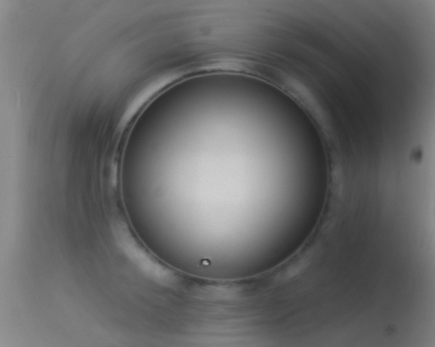 X0000114130900200910151542