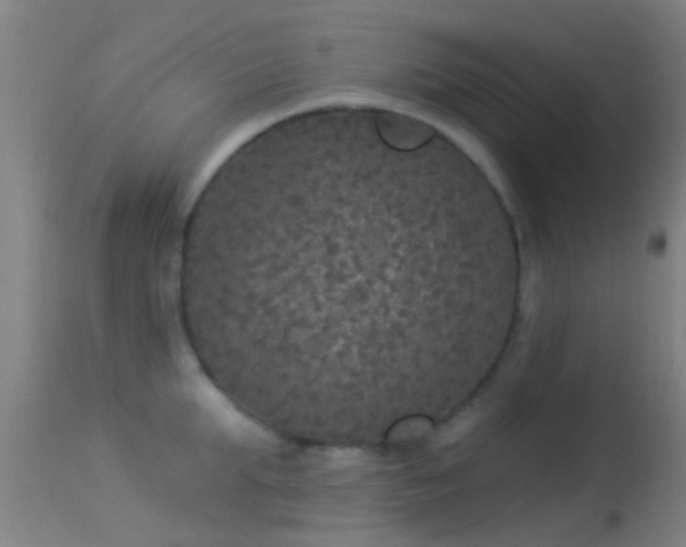 X0000114130903200910151542