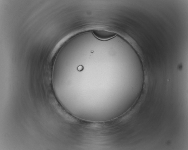 X0000114130904200910151542