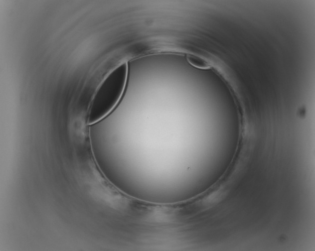 X0000114130905200910151542