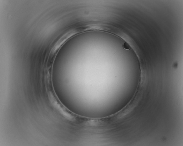 X0000114130906200910151542