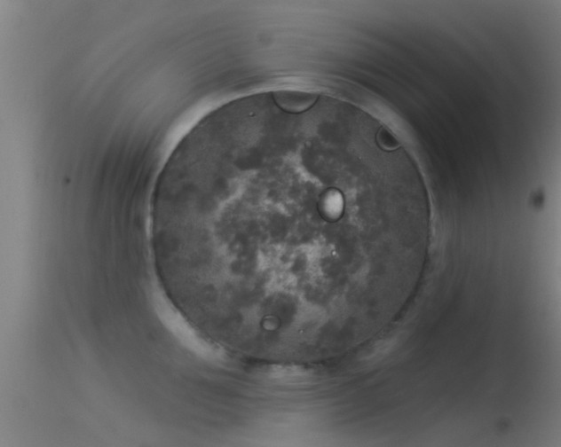 X0000114130907200910151542