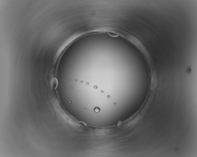 X0000114130908200910151542