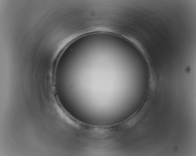 X0000114130910200910151542