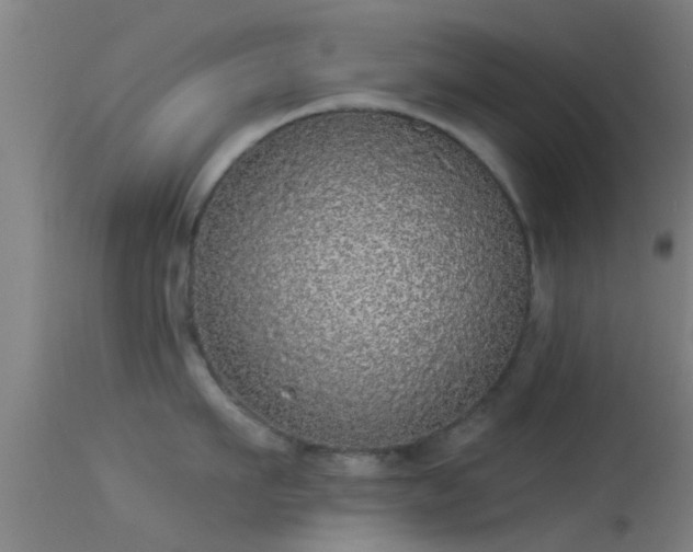 X0000114130911200910151542