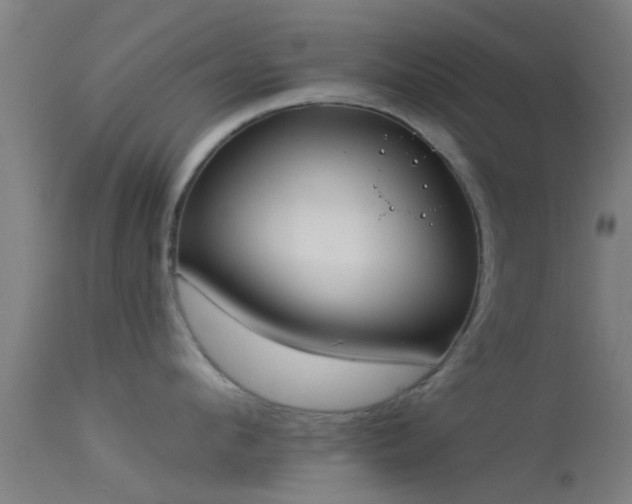 X0000114130912200910151542