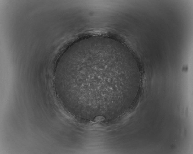 X0000114130913200910151541