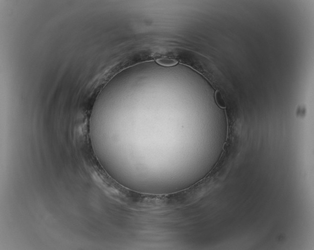 X0000114130914200910151541