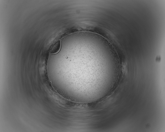 X0000114130915200910151541