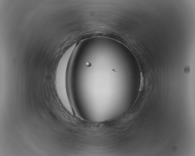 X0000114130916200910151541