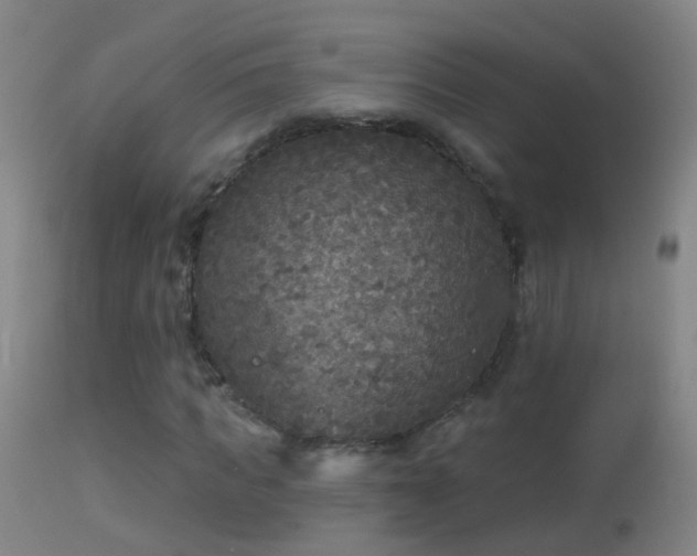 X0000114130917200910151541