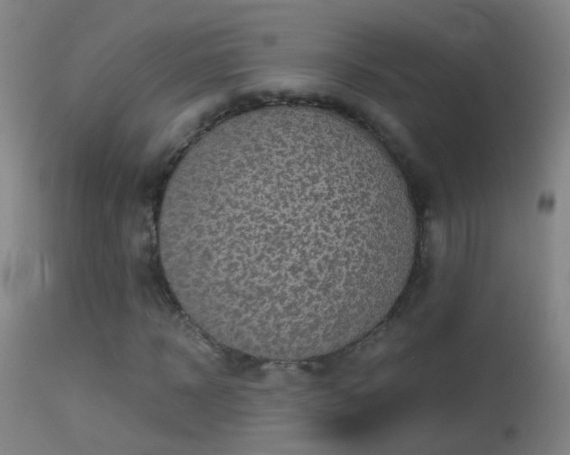 X0000114130918200910151541