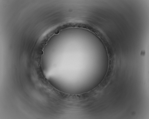 X0000114130919200910151541