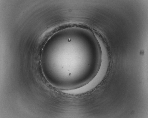 X0000114130920200910151541