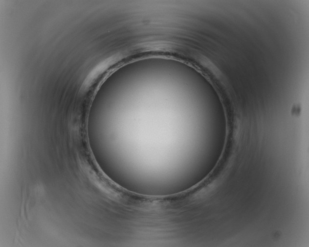 X0000114130922200910151541