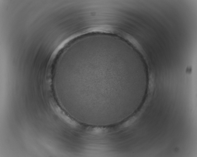 X0000114130923200910151541