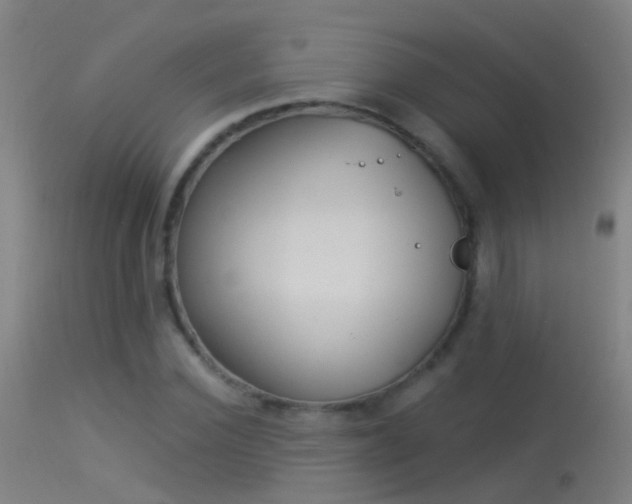 X0000114130924200910151541