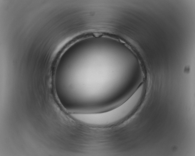 X0000114130925200910151541