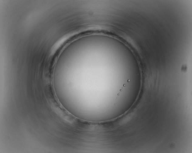 X0000114130927200910151541