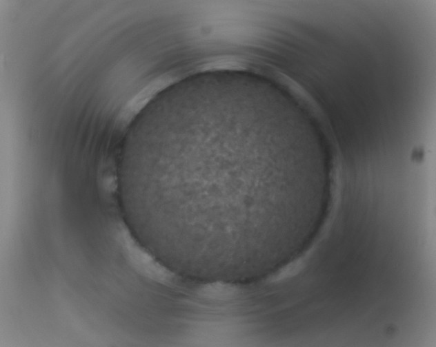 X0000114130929200910151541