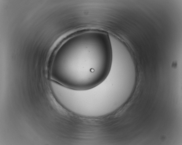 X0000114130932200910151541