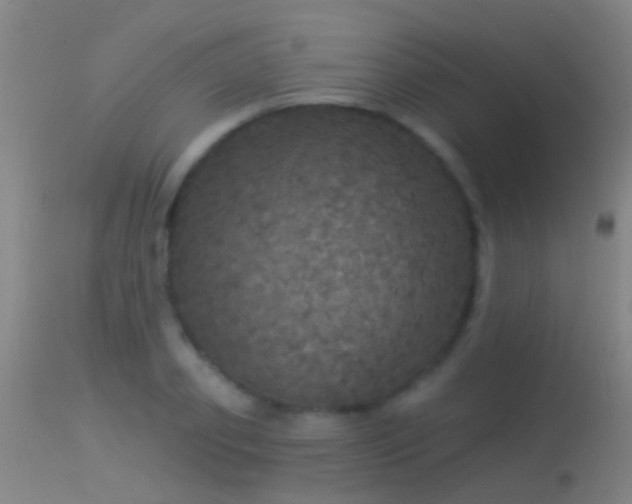 X0000114130933200910151541