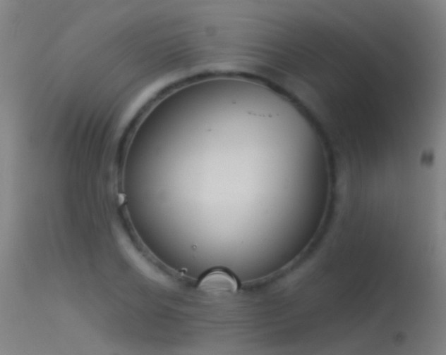 X0000114130934200910151542