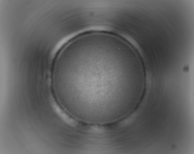 X0000114130935200910151542