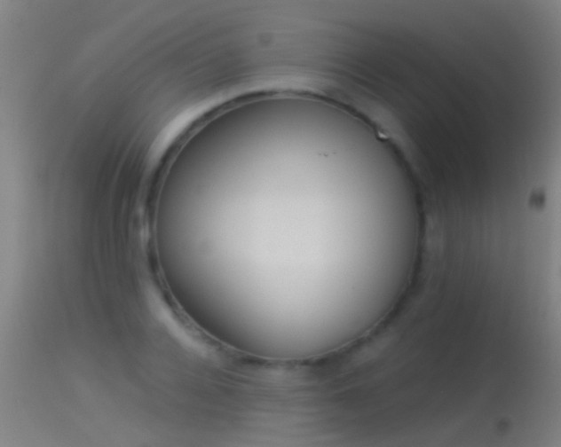 X0000114130936200910151542