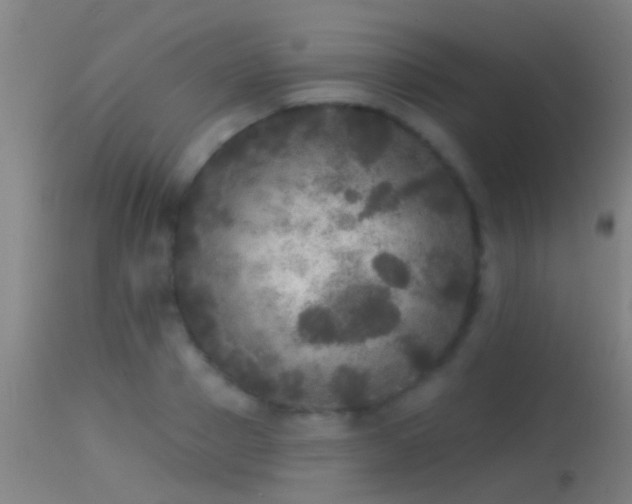 X0000114130937200910151542