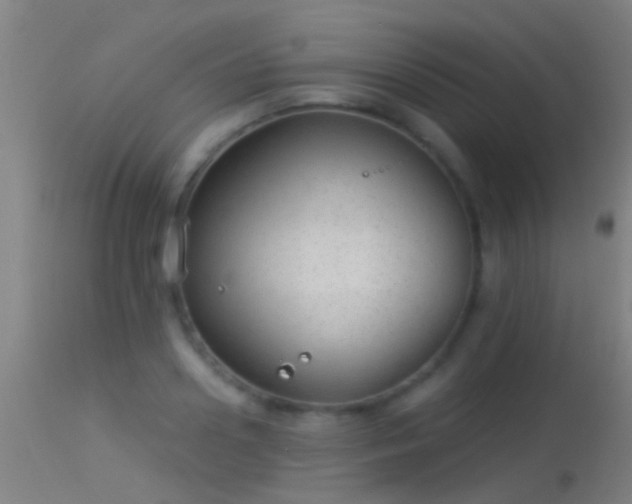 X0000114130938200910151542