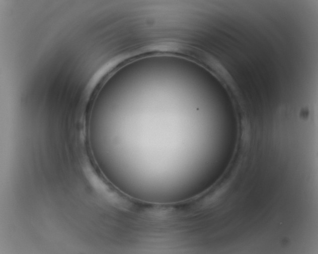 X0000114130939200910151542