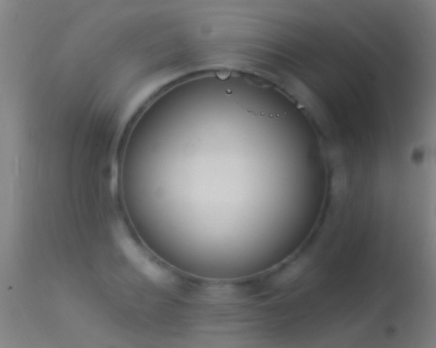 X0000114130940200910151542