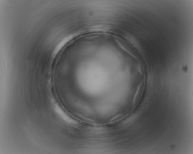 X0000114130941200910151542