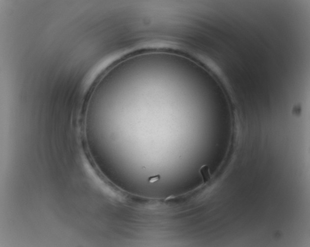 X0000114130943200910151542