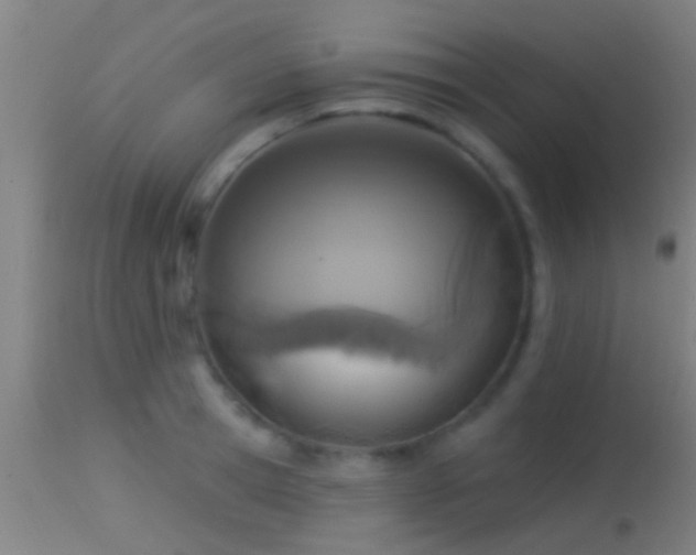 X0000114130945200910151542