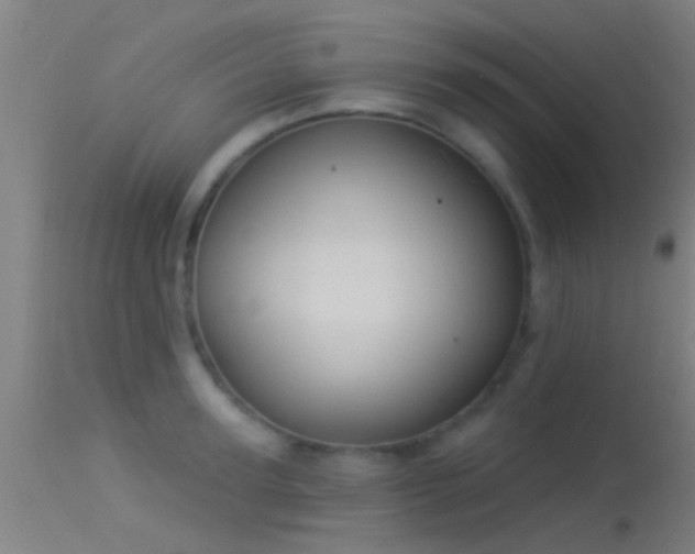 X0000114130947200910151542