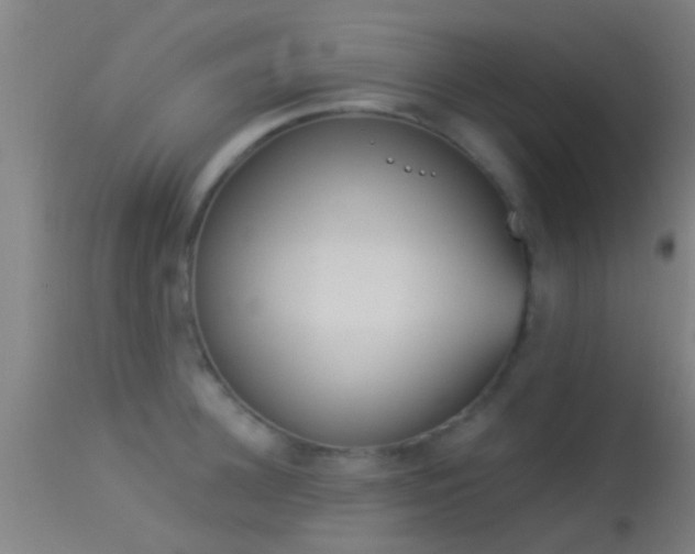 X0000114130948200910151542