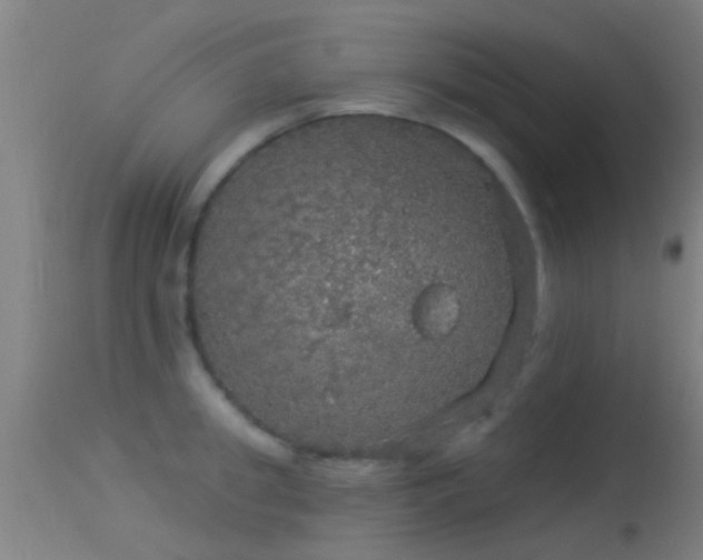 X0000114130949200910151542