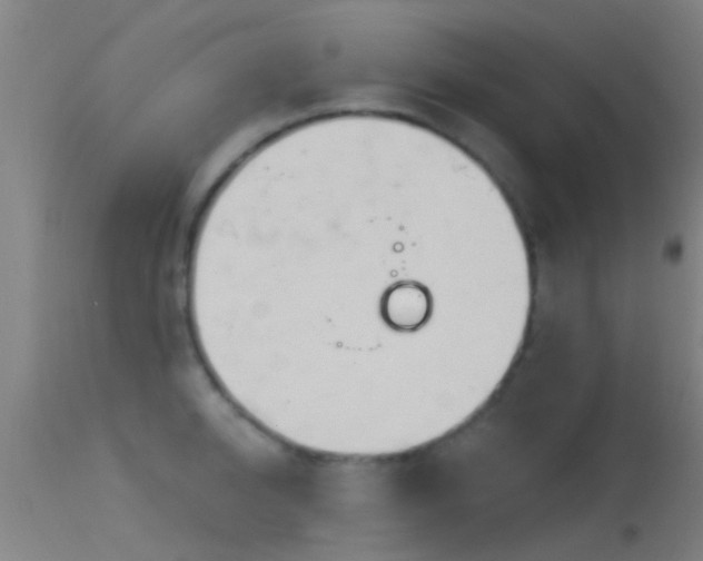 X0000114130950200910151542