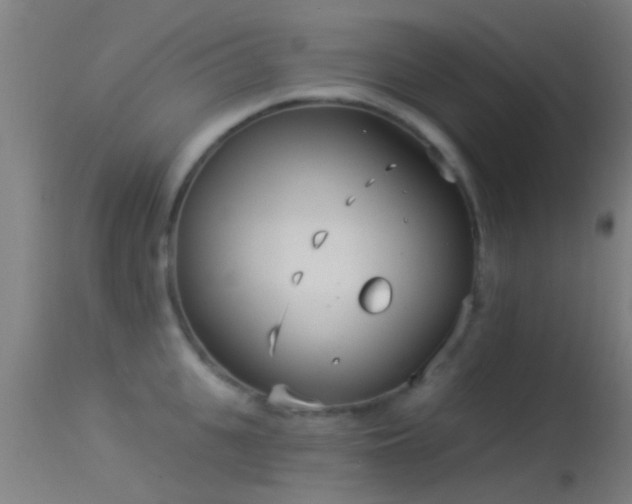 X0000114130951200910151542